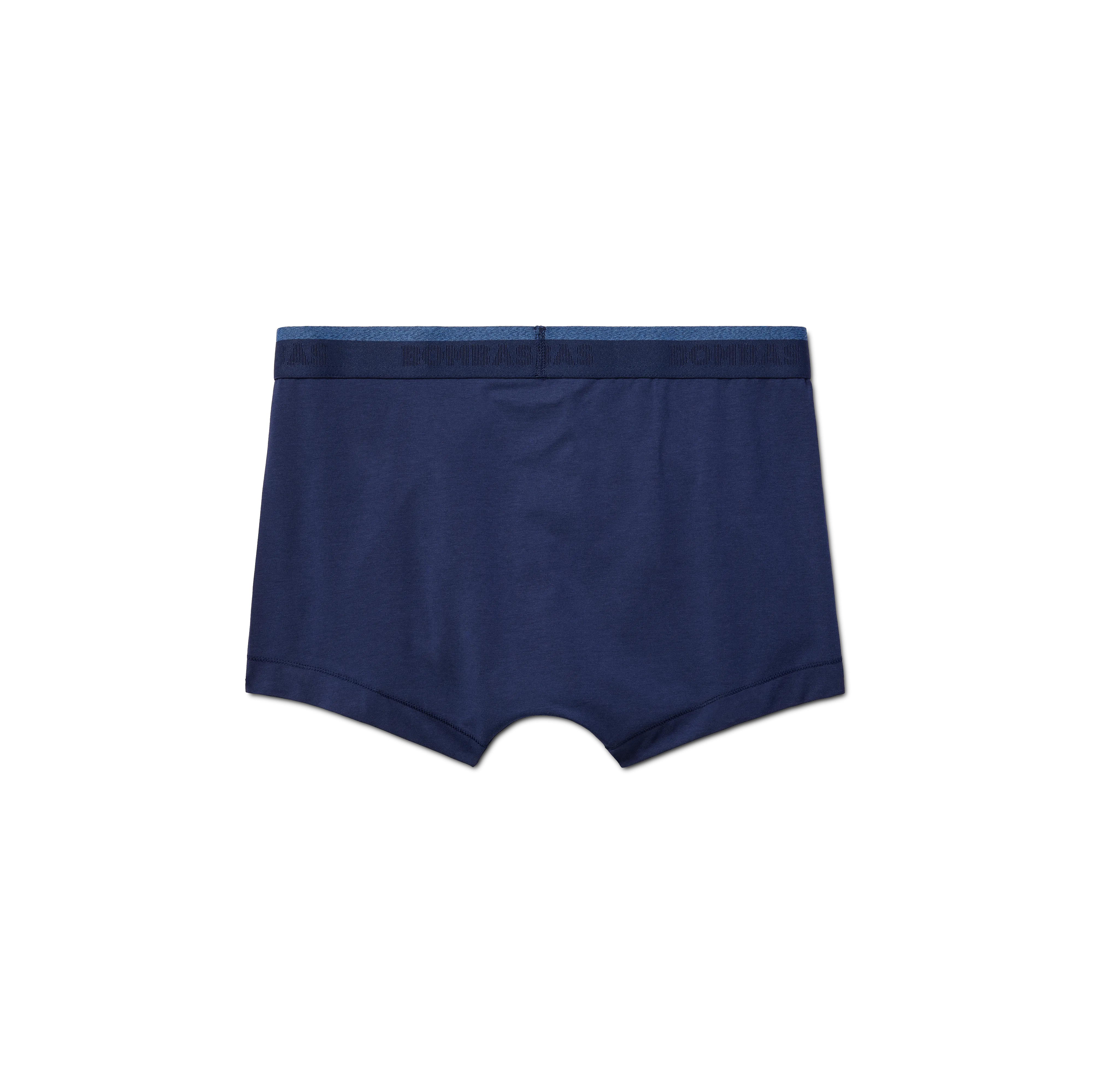 Men's Cotton Modal Blend Trunk